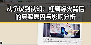 从争议到认知：红薯爆火背后的真实原因与影响分析